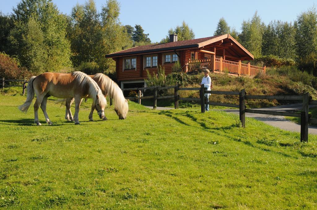 Hotelanlage Country Lodge Arnsberg Exteriör bild